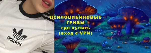 мяу мяу мука Михайлов