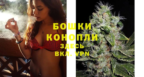 мяу мяу мука Михайлов