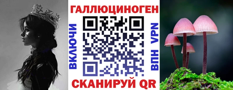 Псилоцибиновые грибы прущие грибы Жердевка