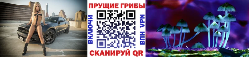 Купить  Жердевка  Псилоцибиновые грибы Cubensis 